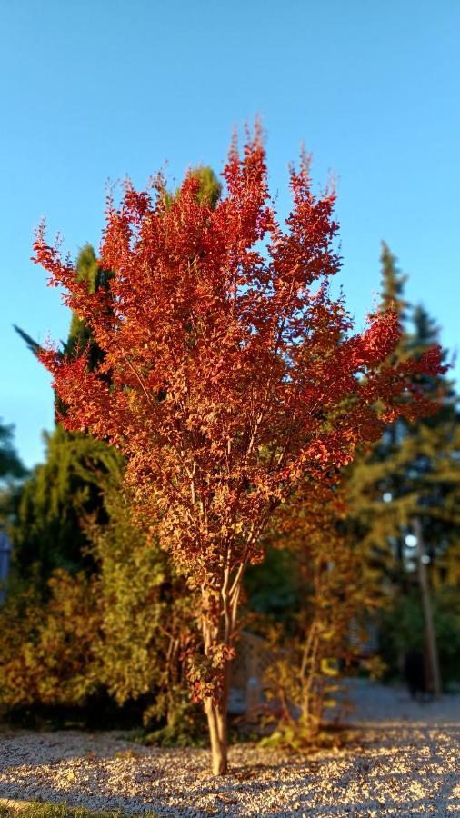 Le Gite Tilia Sablet Exterior foto