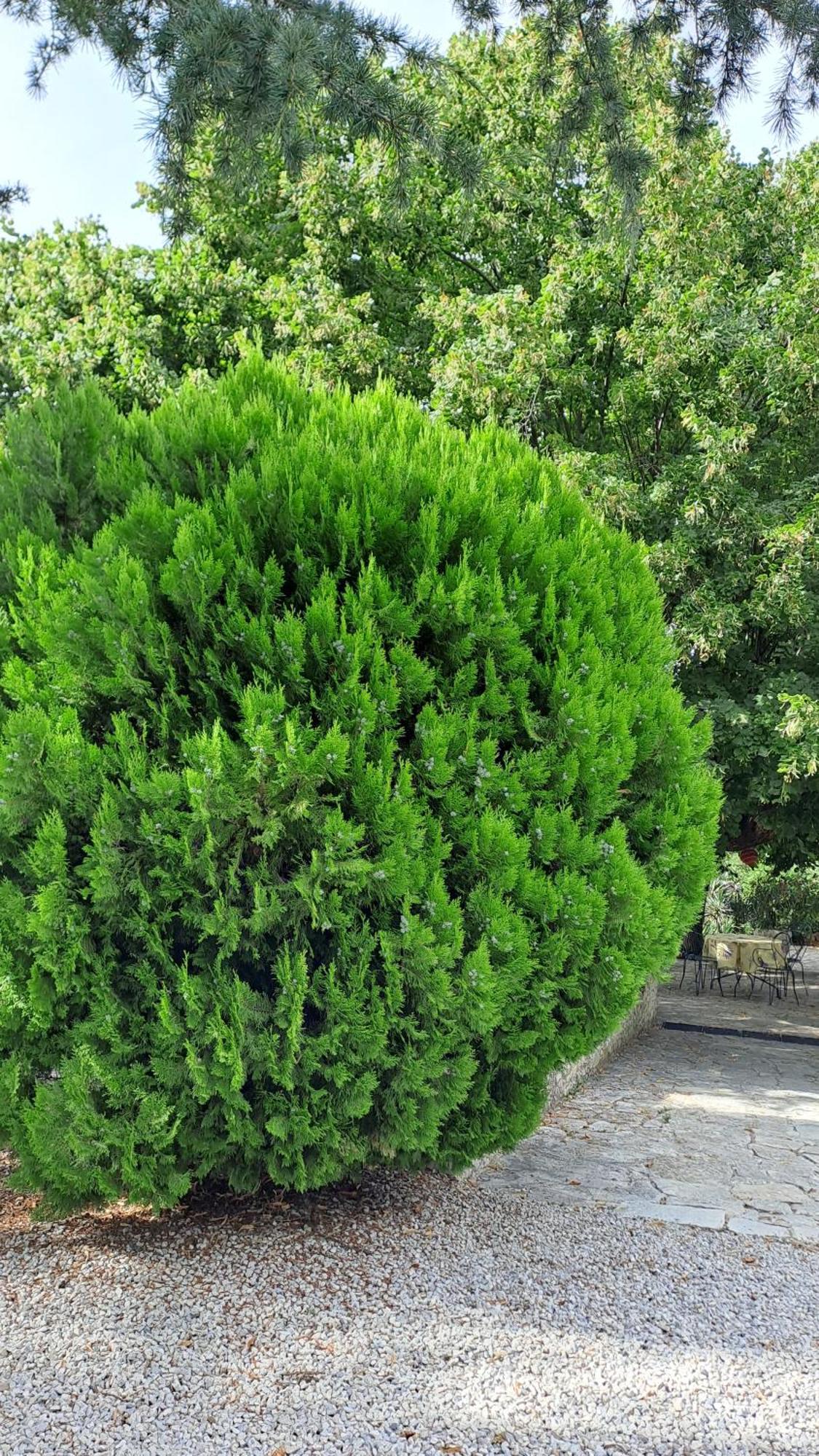 Le Gite Tilia Sablet Exterior foto